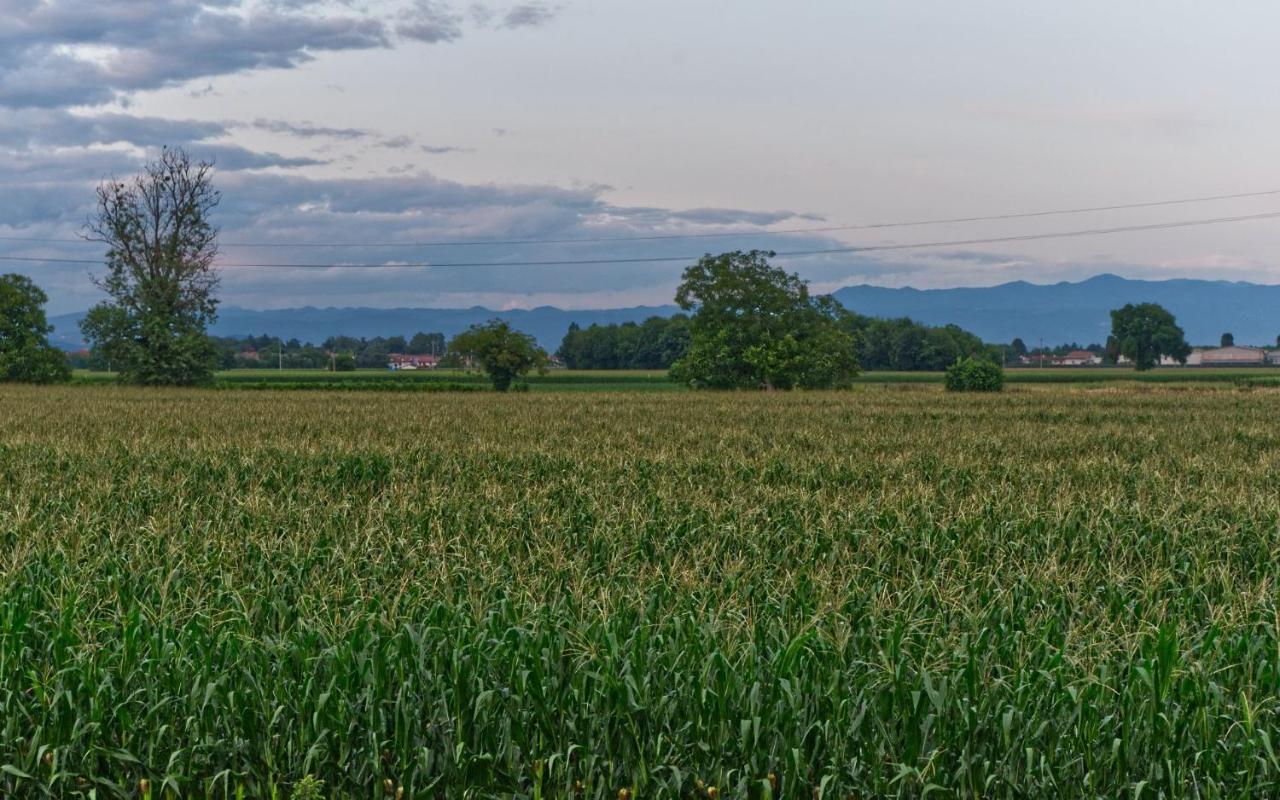 La Selce Farmhouse Bagnario Arsa ภายนอก รูปภาพ